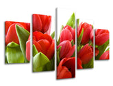 Ζωγραφική τοίχου 5 τμημάτων FLOWERS XOBKV120E50